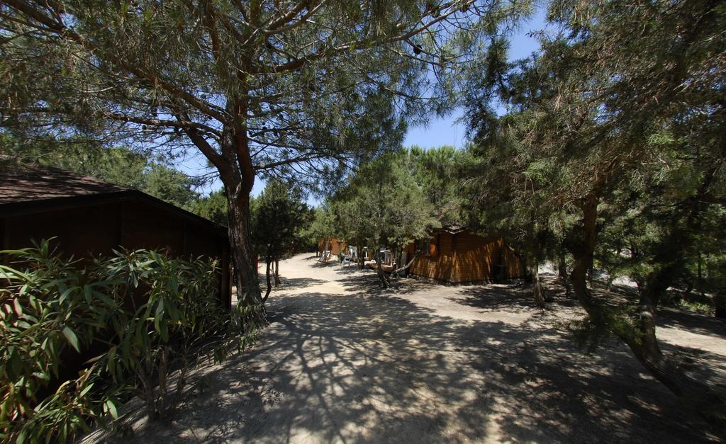 Villaggio Camping Spiaggia Del Riso วิลลัสซีมีอุส ภายนอก รูปภาพ